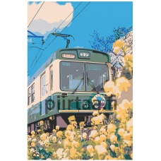 Maalaa numeroilla Z-MV165