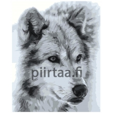 Maalaa numeroilla Z-MV170