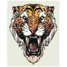 Maalaa numeroilla Z-MV194