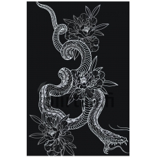 Maalaa numeroilla Z-MV209