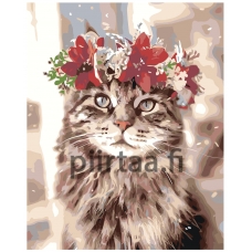 Maalaa numeroilla Z-MV2141