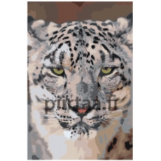 Maalaa numeroilla Z-MV216