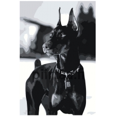 Maalaa numeroilla Z-NA103