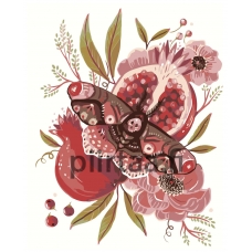 Maalaa numeroilla Z-NA111