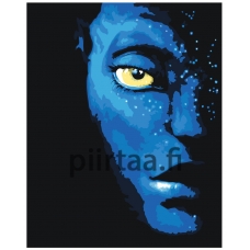 Maalaa numeroilla Z-NA116