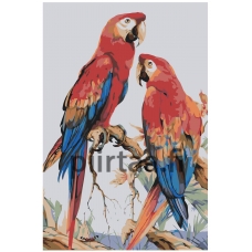 Maalaa numeroilla Z-NA123