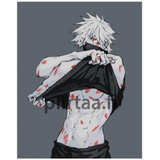 Maalaa numeroilla Z-NA152