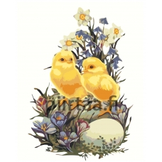 Maalaa numeroilla Z-NA167