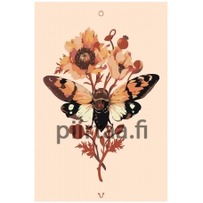 Maalaa numeroilla Z-NA168