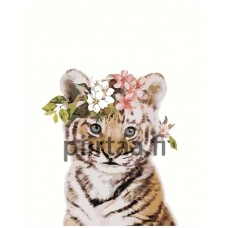 Maalaa numeroilla Z-NA171