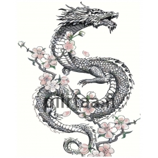 Maalaa numeroilla Z-NA172