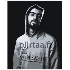 Maalaa numeroilla Z-NA195