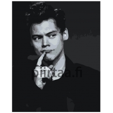 Maalaa numeroilla Z-NA197