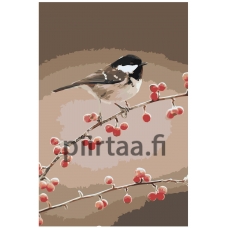 Maalaa numeroilla Z-NA19