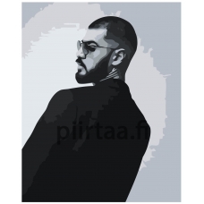 Maalaa numeroilla Z-NA201