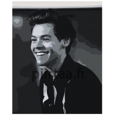 Maalaa numeroilla Z-NA205