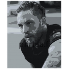 Maalaa numeroilla Z-NA209