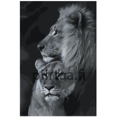 Maalaa numeroilla Z-NA20