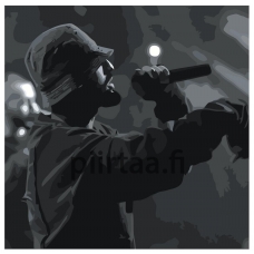 Maalaa numeroilla Z-NA210