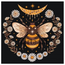 Maalaa numeroilla Z-NA25