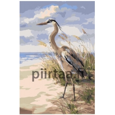 Maalaa numeroilla Z-NA29