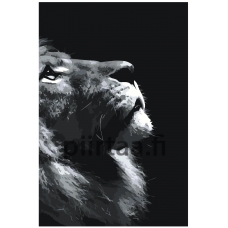 Maalaa numeroilla Z-NA30