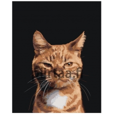 Maalaa numeroilla Z-NA33