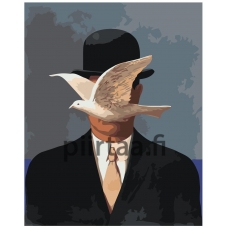 Maalaa numeroilla Z-NA35