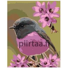 Maalaa numeroilla Z-NA38