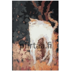 Maalaa numeroilla Z-NA47