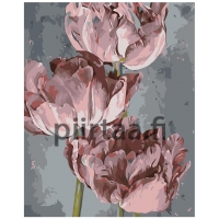 Maalaa numeroilla Z-NA48