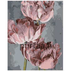 Maalaa numeroilla Z-NA48