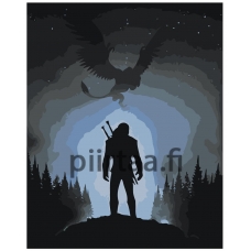 Maalaa numeroilla Z-NA50