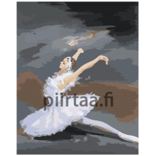 Maalaa numeroilla Z-NA51