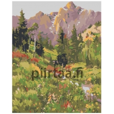 Maalaa numeroilla Z-NA52