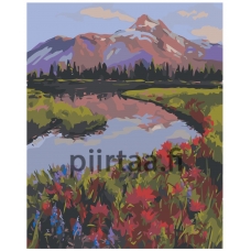 Maalaa numeroilla Z-NA54