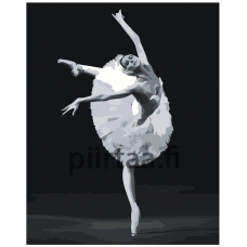 Maalaa numeroilla Z-NA56