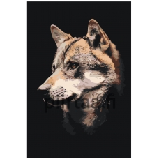 Maalaa numeroilla Z-NA58