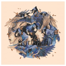 Maalaa numeroilla Z-NA63