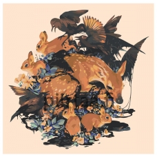 Maalaa numeroilla Z-NA65