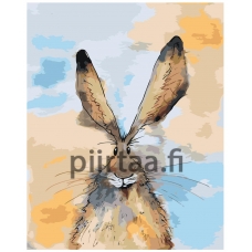 Maalaa numeroilla Z-NA68