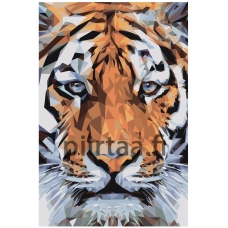 Maalaa numeroilla Z-NA70