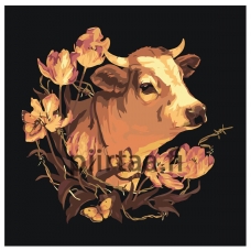 Maalaa numeroilla Z-NA72