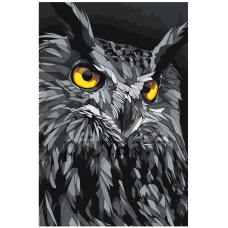 Maalaa numeroilla Z-NA74