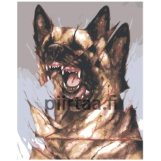 Maalaa numeroilla Z-NA86