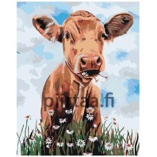 Maalaa numeroilla Z-NA87