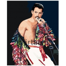 Maalaa numeroilla Z-Z101100892