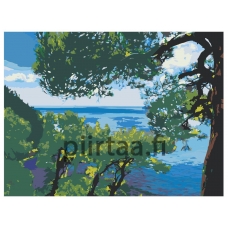 Maalaa numeroilla Z-Z1011391