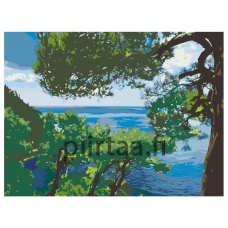 Maalaa numeroilla Z-Z101139