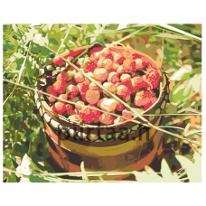 Maalaa numeroilla Z-Z1012272